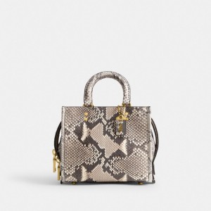 White Women's COACH Rogue 20 In Python Satchel Bags | South Africa-3560721